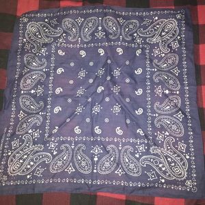 Blue Bandana